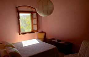 vitamina Civitella In Val Di Chiana